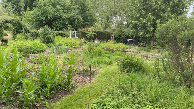 Inspiratie uit de glinstertuin
