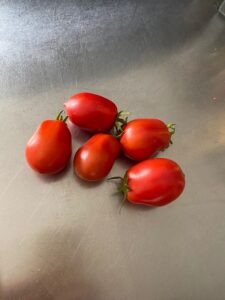 roma tomaten op een aanrechtblad