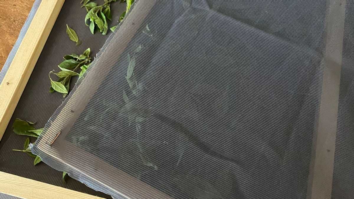 Zelfgemaakt kruidendroogrek