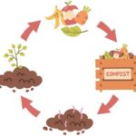 een kringloop maakt gezonde grond
